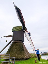 Schöpfwindmühle Honigfleth -
eine Koker- oder Köchermühle -
bespannen der Flügel mit Segeln