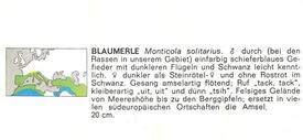 Blaumerlen - Verbreitungsgebiet (aus PAREYS Vogelbuch)