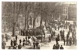 1909 Viehmarkt auf dem Marktplatz der Stadt Wilster