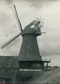 1955 Mühle HOFFNUNG in Beidenfleth