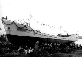 1953 Stapellauf Küstenmotorschiff BISHORST in Wewelsfleth 15.06.1953